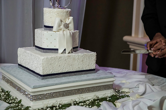 Wilkins Simpson Wedding 01172015 (251)