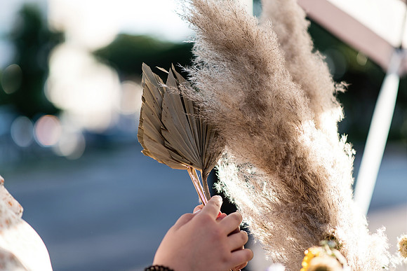 plant-street-flower-cart-branding-photos-mothers-day-weekend 1086final