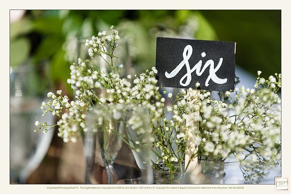 Milly and Rogelio Wedding 4889