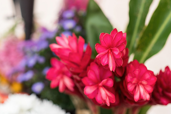 plant-street-flower-cart-june-july-2021-winter-garden 1027final