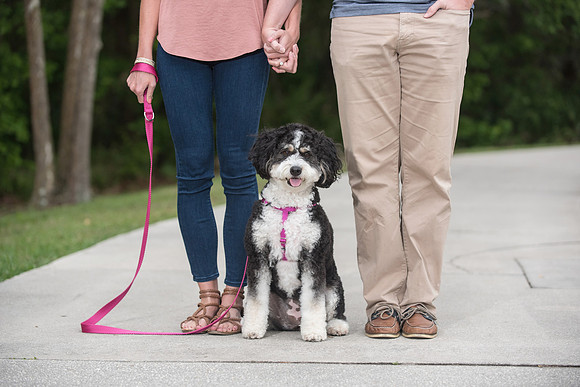Nina-and-Steven-Engagement-Session-Celebration 10632