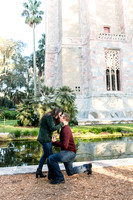 michael-and-emily-proposal 1016final