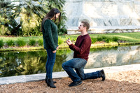 michael-and-emily-proposal 1012final