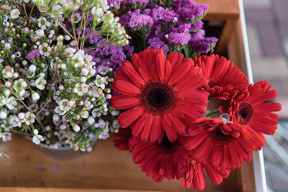 plant-street-flower-cart-february-2021-1 1017final