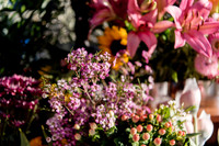 Plant-Street-Flower-Cart-March-April-2021-Winter-Garden 1008final