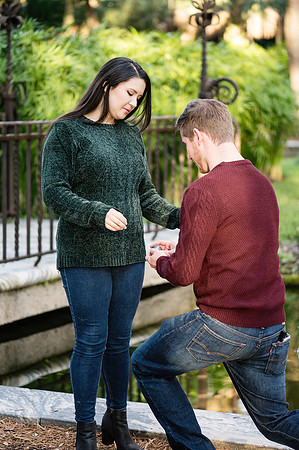 michael-and-emily-proposal 1078final