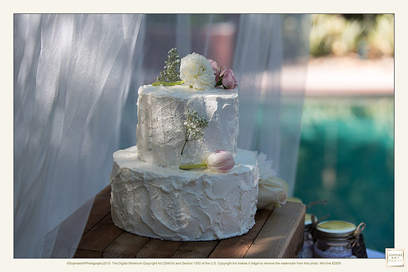 Milly and Rogelio Wedding 4484