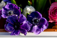 Plant-Street-Flower-Cart-March-April-2021-Winter-Garden 1011final