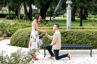 Andrew and Nia Proposal 0005