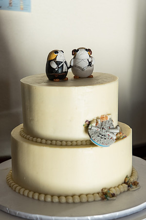Cloak-and-Blaster-Wedding-Jen-and-Mike 1145