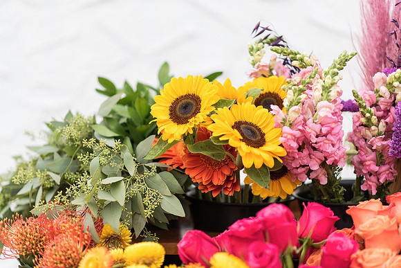 plant-street-flower-cart-june-july-2021-winter-garden 1009final
