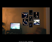 SUNFLOWER_B_FRAMED