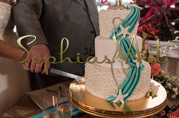 paradise-cove-wedding-lisa-and-charlie 1585