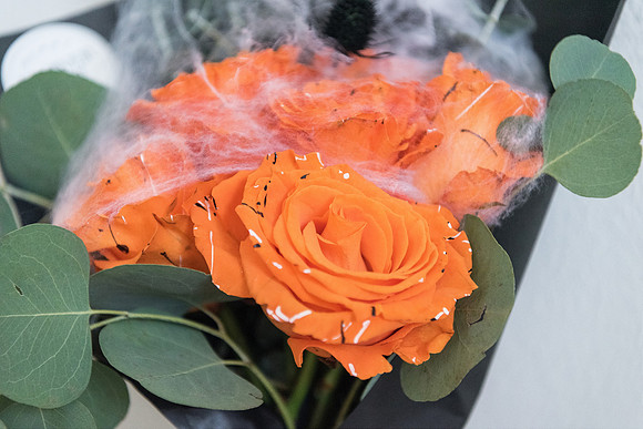 plant-street-flower-cart-halloween 1008final