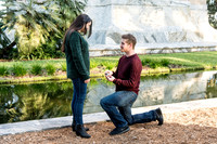 michael-and-emily-proposal 1011final