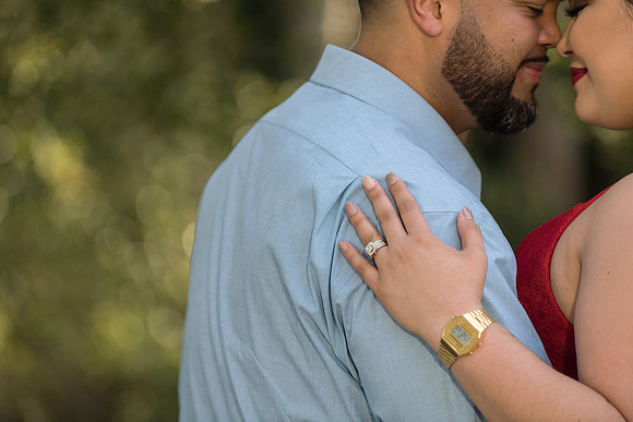 Leu-Gardens-Engagement-Session-Noraliz-and-Luis 11272