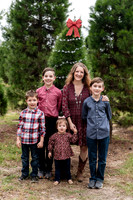 sophias-art-photo-orlando-christmas-mini-sessions-eisnaugle-family 1006-Editfinal