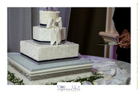 Wilkins Simpson Wedding 01172015 (251)