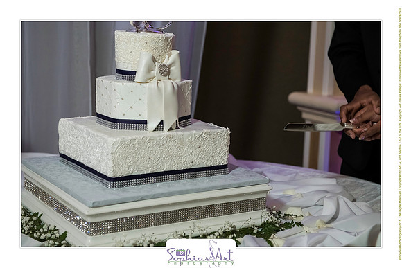 Wilkins Simpson Wedding 01172015 (251)