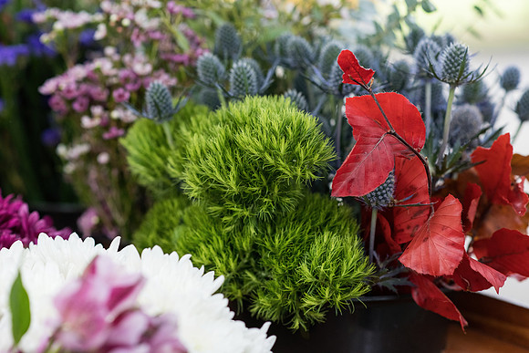 Flower Cart August 2022 0085