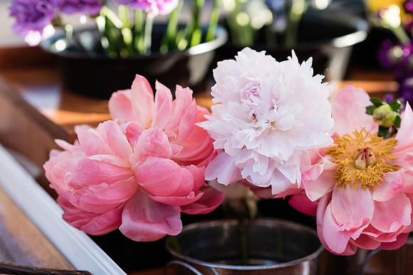 plant-street-flower-cart-branding-photos-mothers-day-weekend 1081final