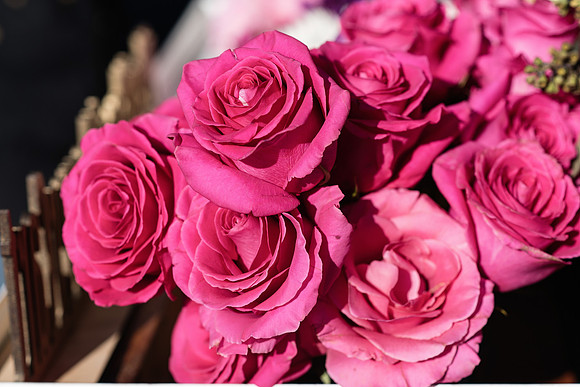 plant-street-flower-cart-branding-photos-mothers-day-weekend 1018final