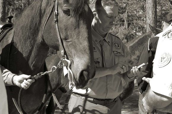 DSC_0014 -1PLATINUM-1500
