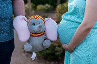 leu-gardens-maternity-session-sarah-and-zachary 1011final