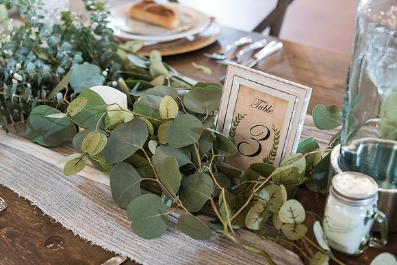 ever-after-farms-vinyards-wedding-christina-and-jay 1048final