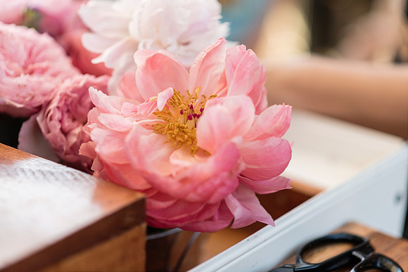 plant-street-flower-cart-branding-photos-mothers-day-weekend 1096final