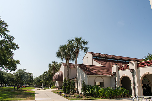 St Timothy Grouds 2024 0028