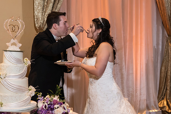 gaylord-palms-wedding-julie-and-sean-hero 1077-Edit
