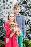 Davidson Fam Christmas 2022 0026