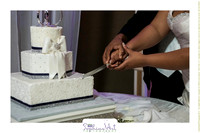 Wilkins Simpson Wedding 01172015 (253)