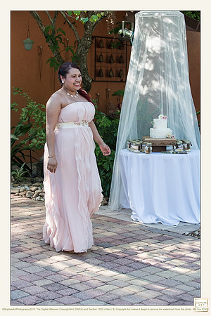 Milly and Rogelio Wedding 4582
