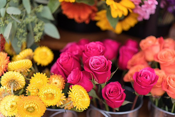plant-street-flower-cart-june-july-2021-winter-garden 1024final