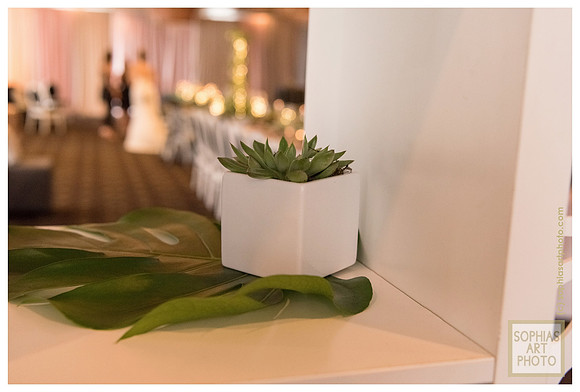 citrus-club-summer-soiree-1095