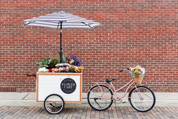 plant-street-flower-cart-nov-dec-2021 1022final