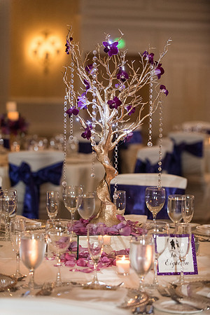 gaylord-palms-wedding-julie-and-sean-hero 1067