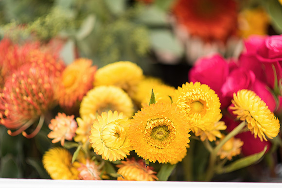 plant-street-flower-cart-june-july-2021-winter-garden 1023final