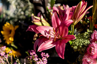 Plant-Street-Flower-Cart-March-April-2021-Winter-Garden 1013final