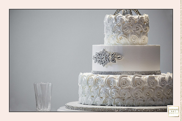 Beautiful Bride-3