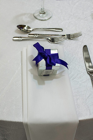 Wilkins Simpson Wedding 01172015 (80)