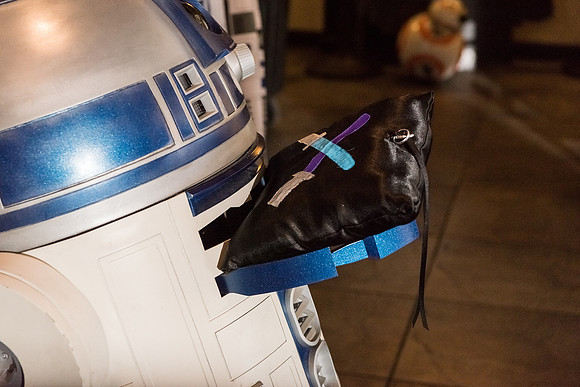 Cloak-and-Blaster-Wedding-Jen-and-Mike 1131