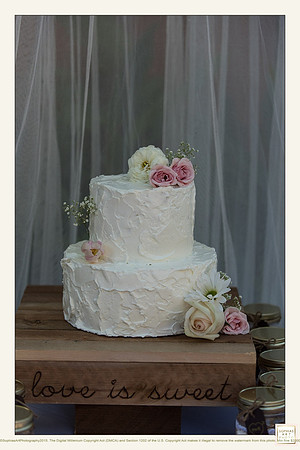 Milly and Rogelio Wedding 4914