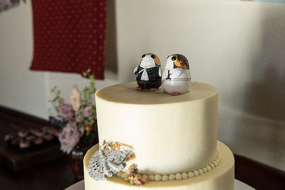 Cloak-and-Blaster-Wedding-Jen-and-Mike 1165