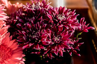 Plant-Street-Flower-Cart-March-April-2021-Winter-Garden 1012final