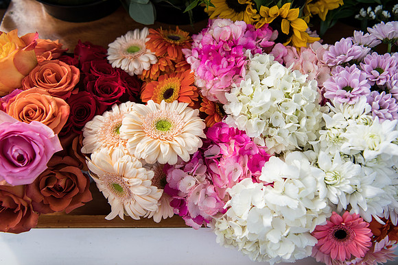 Plant Street Flower Cart February 2023 0002