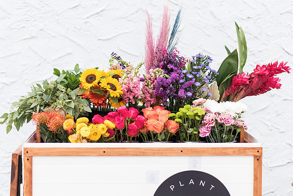 plant-street-flower-cart-june-july-2021-winter-garden 1007final