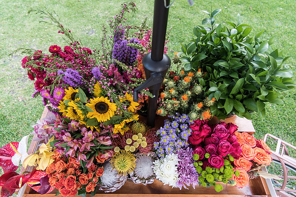 plant-street-flower-cart-may-june-2021 1033final